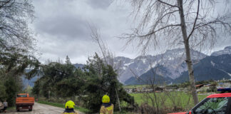 Baum drohte umzufallen