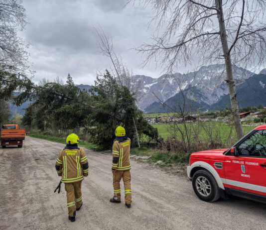 Baum drohte umzufallen